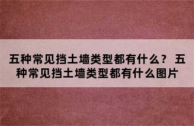 五种常见挡土墙类型都有什么？ 五种常见挡土墙类型都有什么图片